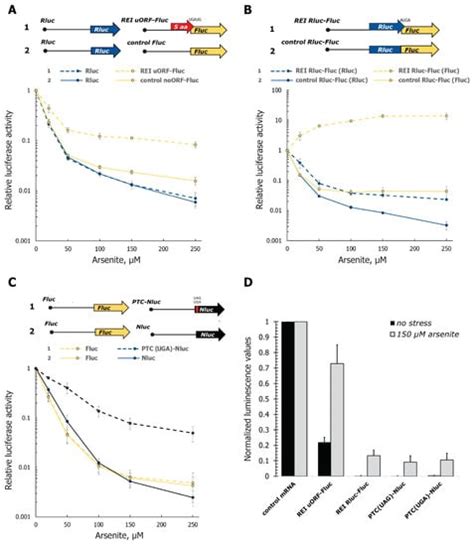 Relocalization of Translation Termination and Ribosome Recycling ...