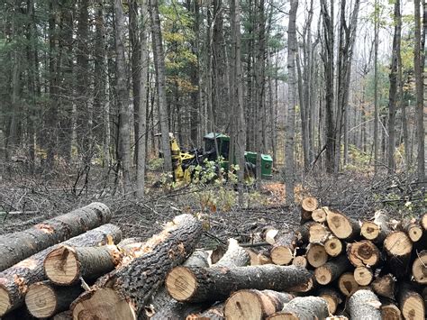 Timber harvests underway at four state game areas in Michigan’s Thumb