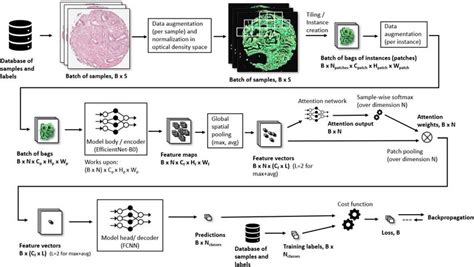 Image result for Model Training Module Diagram
