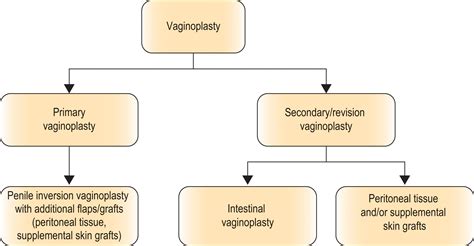 Gender confirmation surgery, male to female: vaginoplasty - Clinical Tree