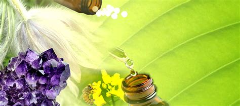 Official website of Homoeopathic Medicine Board Uttar Pradesh, India