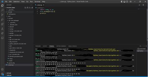 Image result for Numpy Bro Code