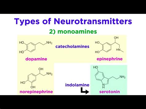 What Is a Neurotransmitter 的图像结果