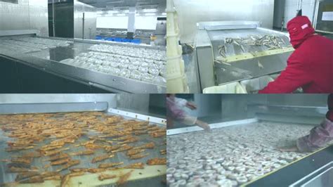 工作者在海鲜工厂分类未加工的新鲜的章鱼转移到下一个步骤生产流水线在越南 编辑类库存照片 - 图片 包括有 去骨切片, 食物: 55764953