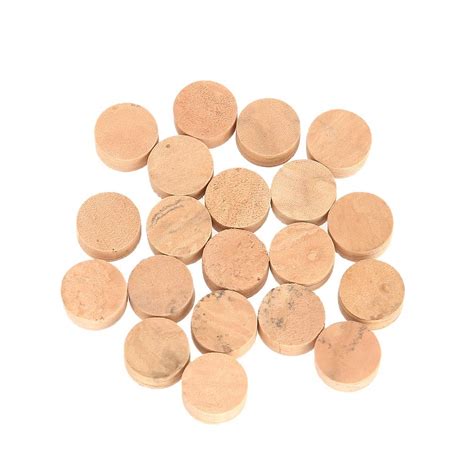Bnineteenteam 20Pcs 9.5mm Trumpet Cork Pads, Trumpet Repairing Cork ...