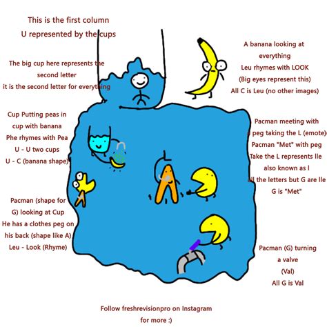 Codon Table 的图像结果