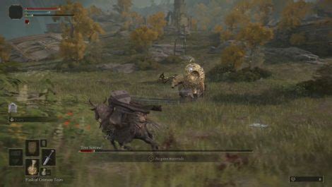 Image result for MorDHA Tree Sentinel