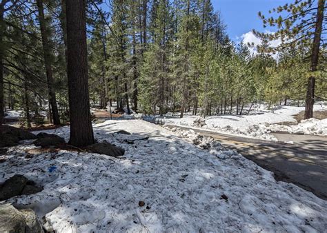 Donner Memorial state park Camping | The Dyrt