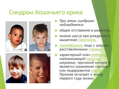 Презентация на тему: "Наследственные болезни человека"