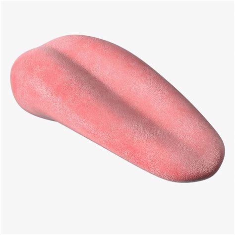 3D Human Tongue Rigged for Maya model | 3D Molier International
