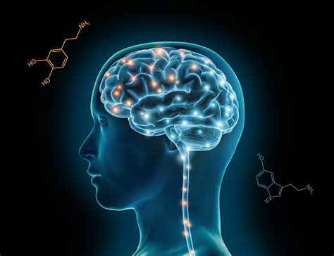 How Nicotine Actually Changes Your Brain Chemistry