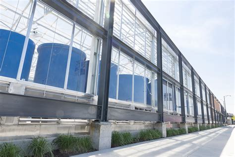 North Lawndale’s ‘Farm on Ogden’ Looks to Supply Fresh Produce, Jobs ...