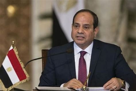 Egypt's army "rational" among strongest in region: President