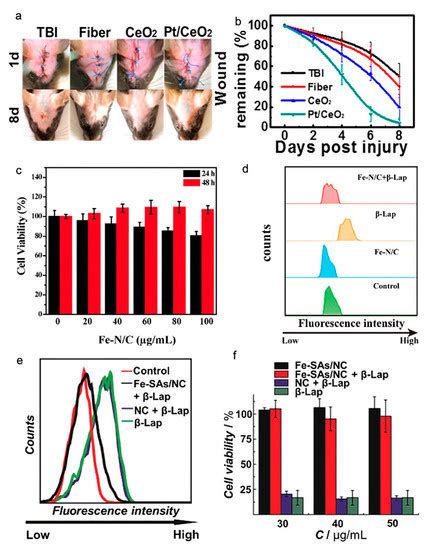 Single-Atom Catalysts for Biotherapy Applications: A Systematic Review