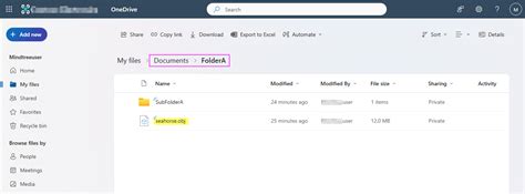 Image result for +Graph API One Drive
