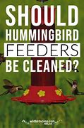 Image result for Hummingbird Cleaning Kit