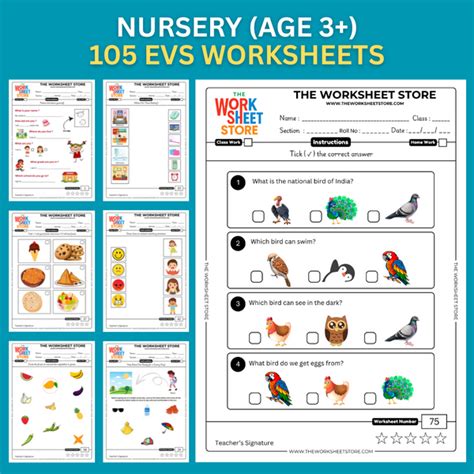 EVS Worksheets for Nursery (Age 3+) | 105 Pages – The Worksheet Store