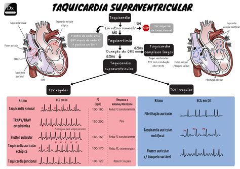 Tipos De Taquicardia Que Existen – XEBNZX