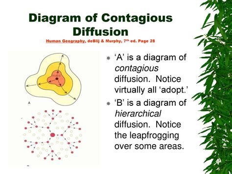 Diffusion Examples 的图像结果