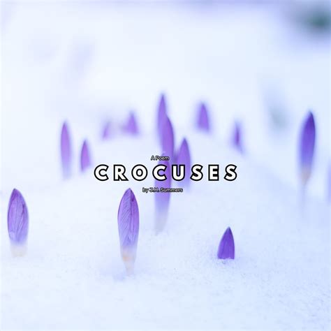 The Comprise vs. Compose Conundrum - EveryWriter