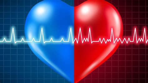 ESC-Guidelines zum Vorhofflimmern – der Patient im Fokus - Kardiologie ...