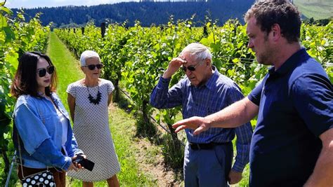 Martinborough Winery and Foodie Tour | Activities & Day Trips in ...