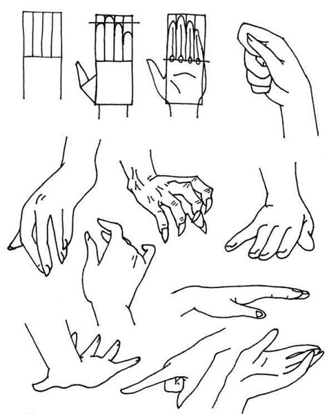 Image result for Anime Drawing Tutorials