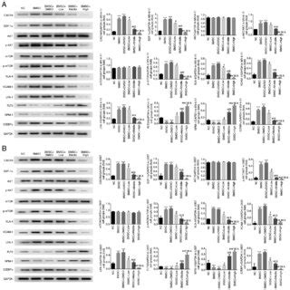 CIM Expression 的图像结果