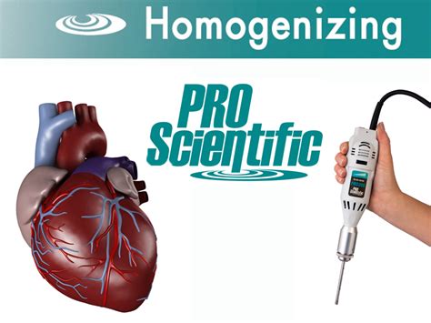 Tumor Tissue Homogenization Protocol 的图像结果