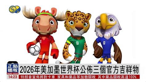 世界杯 的图像结果