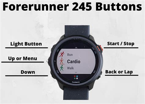 Garmin 245 Tutorial 的图像结果