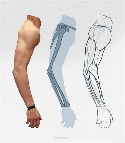 Arm Reference