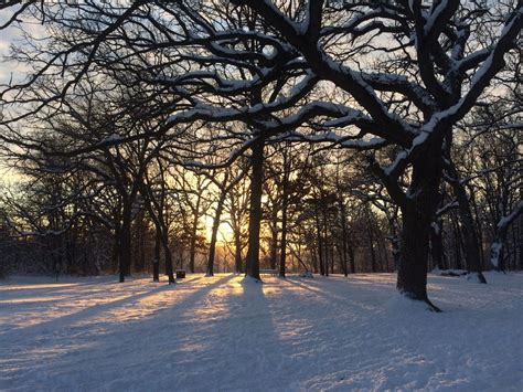 Nurtured by Nature, Hannaford Woods Forest Preserve, Sugar Grove, 28 ...