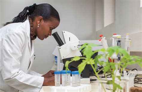 Biotechnology 的图像结果