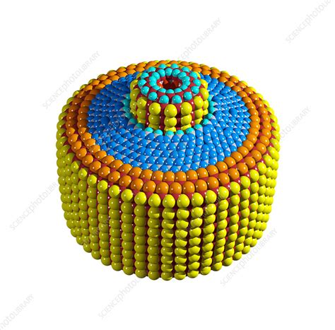 Molecular Engineering Applications 的图像结果