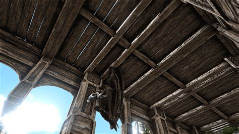 Desmodus Taming Guide 的图像结果