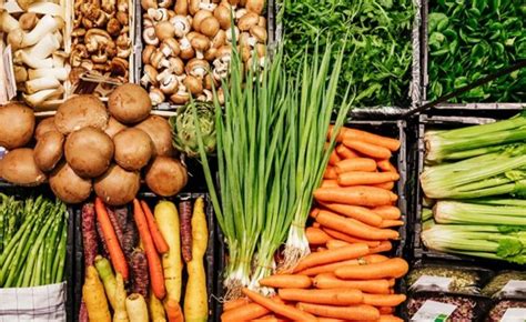 Can Dogs Eat Vegetables | Pet Care Advisors