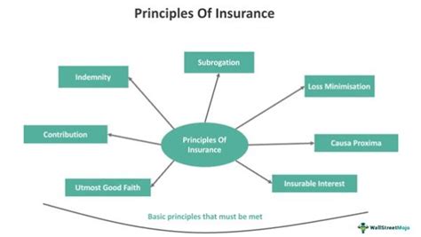 Image result for Principles of Insurance