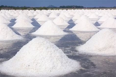 Toothpaste Sheets 的图像结果