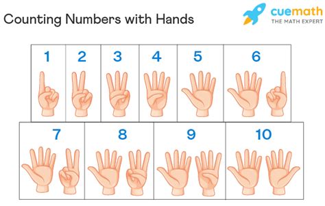 Image result for Counting Numbers Example
