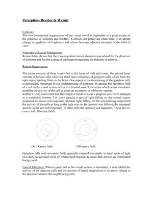 Anatomy of the Eye - Notes - ANATOMY OF THE EYE The photoreceptive ...