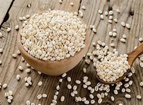 Dryma All Natural and Fiber-Rich Pearl Barley Jau Ghat 400GM Barley ...