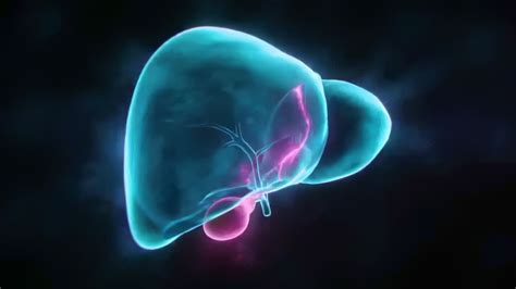 Rotating cyan liver on start, showing glowing bile ducts and ...