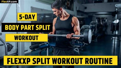 FlexXP Workout Routine: 5-Day Body Part Split Workout - Build Muscle & Strength