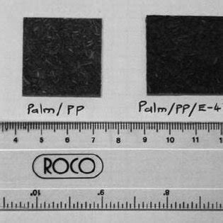 Sample of Diffusion 的图像结果