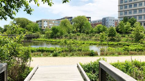 Alewife Brook Reservation in Cambridge, MA: Plan Your Trip - UrbnParks