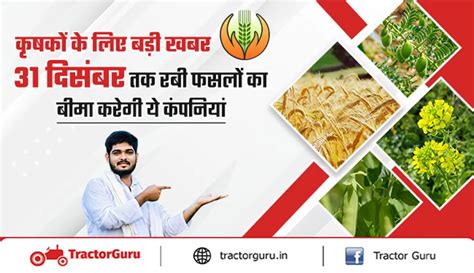 PMFBY : ये कंपनियां करेंगी 31 दिसंबर तक किसानों की रबी फसलों का बीमा