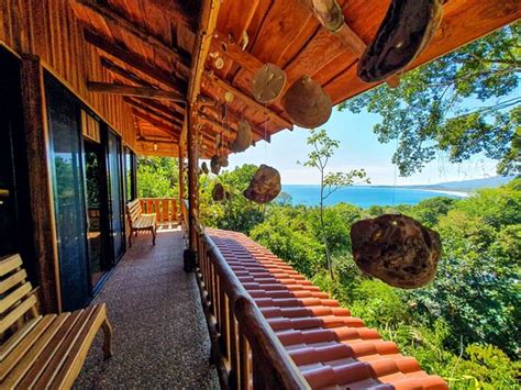 LA CUSINGA ECO LODGE (Uvita) - Hotel Reviews, Photos, Rate Comparison ...
