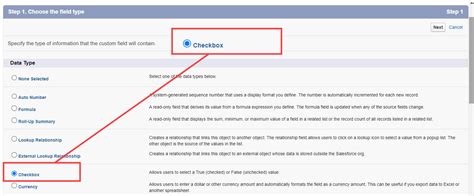 Image result for Salesforce Check Box in Report