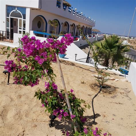 RESIDENCE DJERBA AZUR (Guellala) - Lodging Reviews & Photos - Tripadvisor